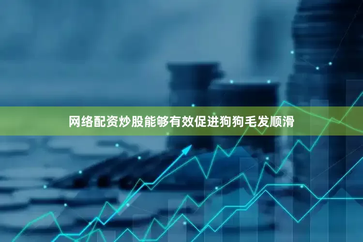 网络配资炒股能够有效促进狗狗毛发顺滑