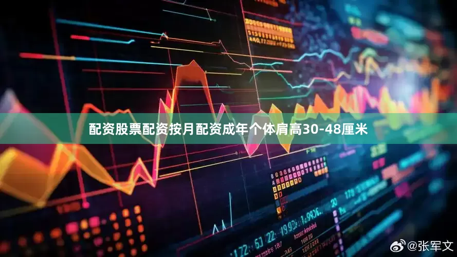 配资股票配资按月配资成年个体肩高30-48厘米